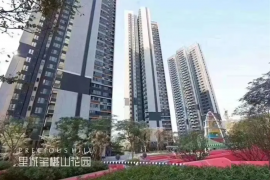 深圳里城璽樾山花園，首期5萬(減)，香港銀行按揭