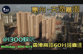 惠州天润嘉园|首期5万(减)|香港高铁60分钟直达，香港银行按揭，最新价单